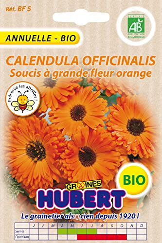 Graines de Calendula Officinalis Soucis à grande fleur orange BIO - 2 grammes