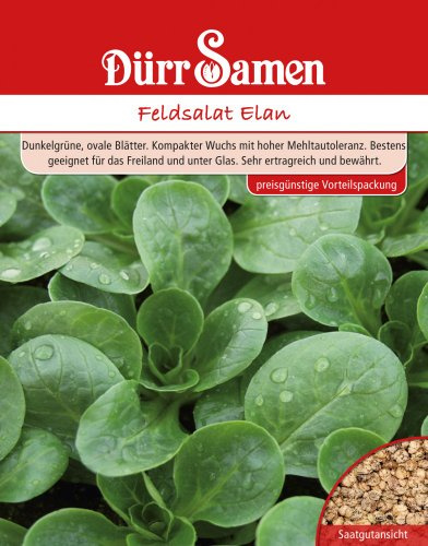 Dürr-Samen - Feldsalat Elan 250 g Saatgut