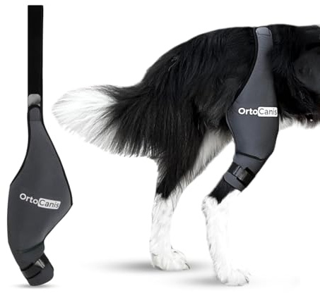 Ortocanis knäbandage hund bakben vänster ben storlek XL – bandage hund bakben med korsbandsskador, patellaluxation eller artros