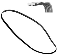 Courroie Machine À Laver 1244 j5 Poly-V