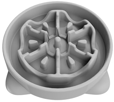 Slow Feeder Dog Bowl, Small Medium Dogs Anti-Choking Dog Bowl Non Toxic Dog Dish Bloat Stop Dog Food Bowl (Grey, L (27 cm))