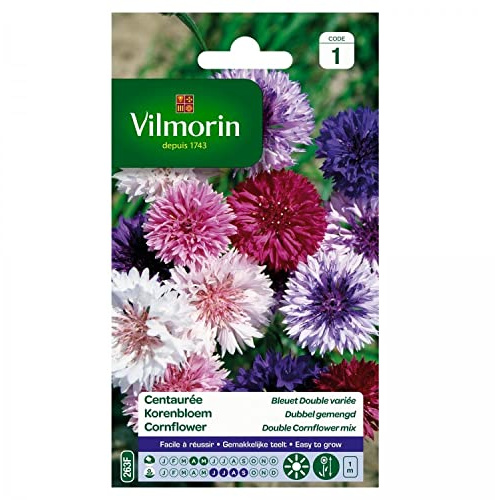 Vilmorin - Centaurée Bleuet Double Variée