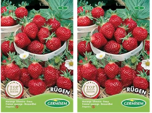 Germisem Rügen Semillas de Fresa 0.3 g, EC5022 (Paquete de 2)