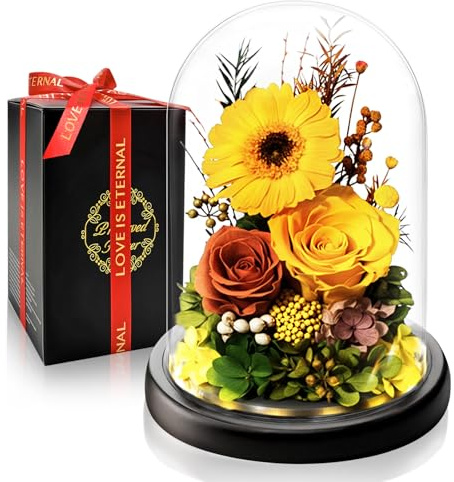 Touloube Evig ros & Gerbera i glas I Eternal Infinity Rose present romantisk blomma presentset med LED I perfekt för fru, mamma och mormor I bröllop, alla hjärtans dag, årsdag
