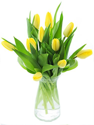 Blooms2Door Flowers - Bouquet of 10 Yellow Tulips (Farm-Fresh) with Vase - Gift for Birthday, Sympathy, Thank You, Valentine, Mother’s Day Fresh Flowers