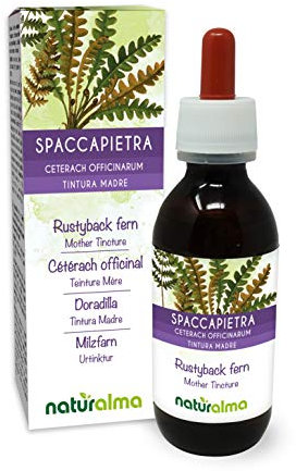 Rustyback Fern (Ceterach officinarum or Asplenium Ceterach) Leaves Alcohol-Free Mother Tincture Naturalma - Liquid Extract Drops 120 ml - Food Supplement - Vegan