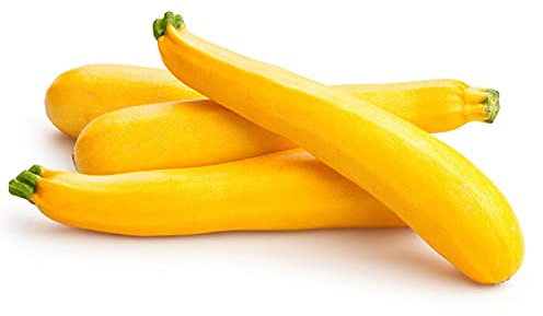 25 Graines de Courgette Goldena - légumes jardins potager- semences paysannes reproductibles - SemiSauvage