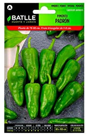 Semillas Batlle – Semi di peperone