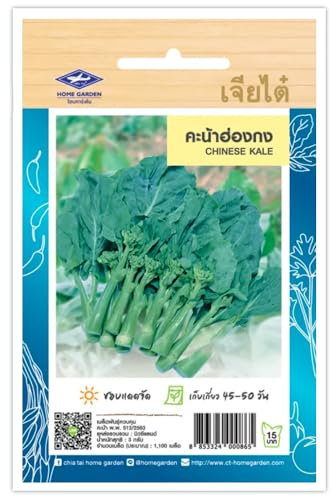 Chinese Kale, Gai Lan, kai-lan, Chinese Broccoli, Kana, Brocoli chinois, Graines de légumes – Sachet de 1100 Graines, Import Thaïlande CHIA TAI