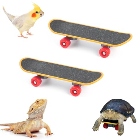 Yimluofa Lot de 2 skateboards Tortue Creative Turtle Mini Skateboard Jouets Oiseau Perroquet Intelligence Jouets Mini Entraînement Skateboard Doigt Skateboard pour Petits Animaux Animaux Tortues