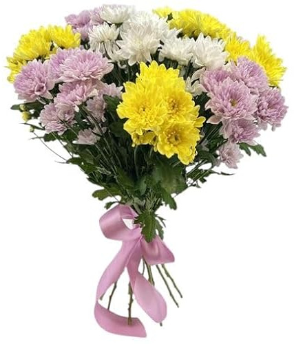 Ramo de Margaritas Frescas con 100 Flores de Crisantemo Naturales en Diseño Moderno y Elegante Ramo Premium