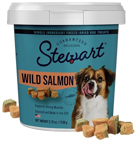 Stewart 100% Wild Salmon Dog Treats, 2.75 oz Tub, ~55 Pieces, Freeze Dried Raw, Single Ingredient, 65% Protein Training Treats or Meal Topper, Grain Free, Gluten Free