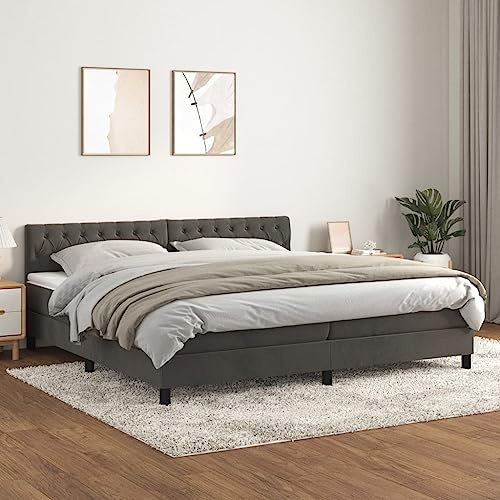 Willood Boxspringbett mit Matratze Dunkelgrau 200x200 cm SamtKnopfheftung Design