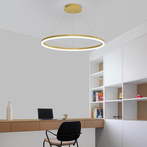 Mikeru Lampadario LED Oro 40cm, Lampada Sospensione Lineare 3000k/4500k/6500k Telecomando dal 10% al 100% Lampadario LED Soffitto Moderno Nero con Funzione di Memoria per Camere da Letto