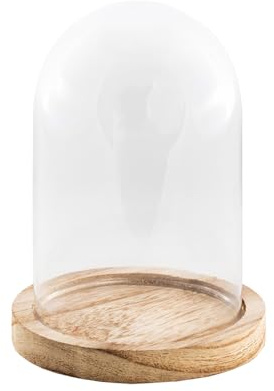 Chaks - Campana de cristal con base de madera, cúpula transparente con pedestal de cristal y madera, decoración para salón, estantería y mesa