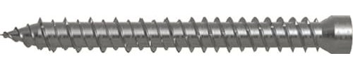Fischer FFSZ Vite per Serramenti e Telai Finestre, Testa Cilindrica, Impronta Torx 5x62 T15 (50 Pz.)