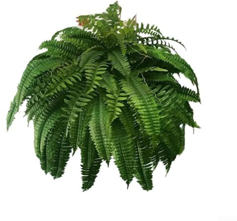 Zilimontt Plante artificielle réaliste pour fougère, plante verte pour la décoration de la maison et du jardin, parfaite pour les fêtes et les mariages avec tiges flexibles, matériau résistant aux
