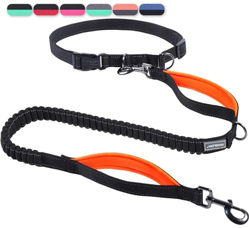 VIVAGLORY Joggingleine Hunde Bungeeone Hundeleine Joggen, Laufleine mit Schlaufe & Gepolstertem Griff für Hausleine Joggingleine, Bungee & Gummizug für Hunde, M, Schwarz/Orange