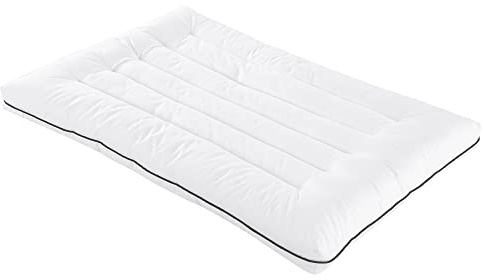HOMBYS Ultra Thin Flat Bed Pillow for Stomach and Back Sleepers,Queen Size Down Alternative Cervical Pillow for Neck Pain, 100% Cotton Shell, White,2.5 inch