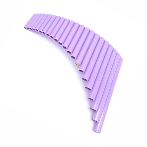 Instrumento De Práctica Profesional Para Principiantes Flauta Pan Resina ABS Con Llave G 22 Tubos Flauta Pan