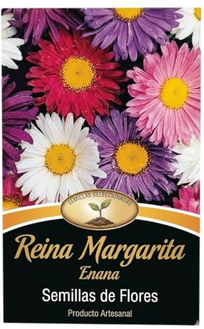 Semillas de Margarita Reina para Decoración Floral Natural en Jardines y Balcones Soleados | DECOALIVE