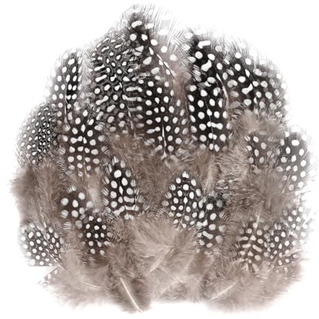 AOOTE Natural Speckled Feathers, 100Pcs Brown Guinea Fowl Feathers, 4.5-10cm Natural Feather Bulk, Speckled Craft Feather for DIY Dream Catcher Crafts, Costumes, Hats, Handicrafts, Halloween, DIY