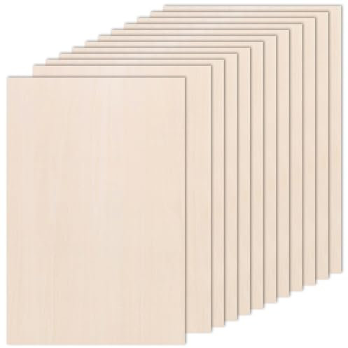 12Pcs Plywood Sheets, 300 x 200 x 3mm Unfinished Basswood Sheets Board for Woodcraft Model, Crafts, Painting, Engraving, Stenciling, Home Decor (H001-3)