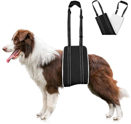 AOOHA Imbracatura per Cani Regolabile, Pettorina per Cani con Maniglia, Camminata Assistita, Cintura di Sostegno per Cane, Supporto per Cane Anziani e Disabili (L)