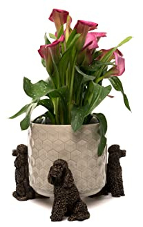 Potty Feet Lot de 3 Pieds décoratifs pour Pot de Fleurs sur Le thème du Caniche - Couleur Bronze
