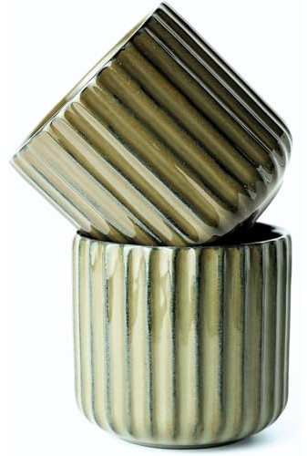 MeYuxg Paquet de 2 Tasse Expresso, 180ml Tasses à Expresso, Convient pour le Café et l’espresso, Tasses à Café Sans Anse à Paroi Épaisse, l’Ensemble de Tasses à Moka (Vert Lac)