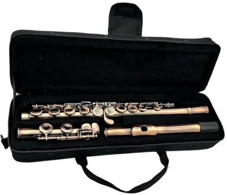 tvärflöjt instrument Flöjt 16 nycklar slutna hål nybörjarinstrument