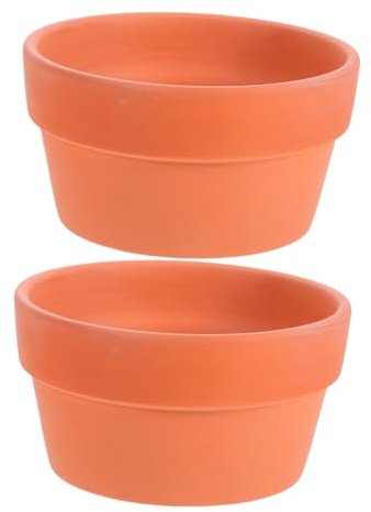 Alasum Jardinières en Terre Cuite Lot De 2 Drainage pour Plantes Grasses Et Bonsaï 12,5 Cm Rouge pour Décoration Maison Et Jardin