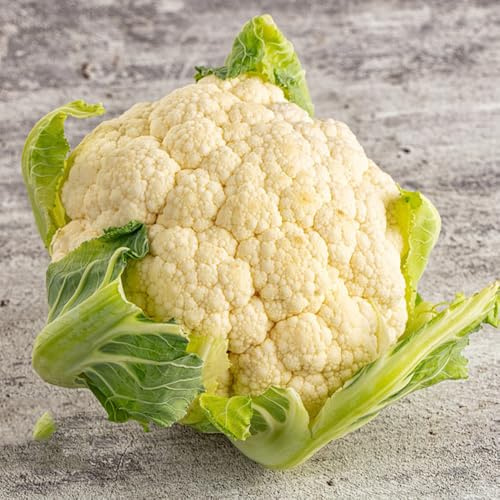 coliflor - Brassica oleracea - semillas de hortalizas orgánicas, variedades tradicionales semillas de coliflor interior, hortalizas, balcón variedades raras antiguos 60semillas