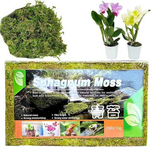 Youning Natürliches Sphagnum Moos Torfmoos für Garten Zimmerpflanzen Terrarien Blumenerde Wassermoos Trockenmoos Wasser Gras Substrat Spaghnummoss Kultursubstrat für Pflanzen Orchideen (1 Beutel)