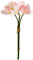 Winterworm 3 Stück künstliche Plumeria-Blumen, fühlen sich echt an wie Plumeria Frangipani 9 künstliche Blumensträuße mit Stielen für Zuhause, Büro, Hochzeit, Verlobung, Basteln, Geschenk (rosa)