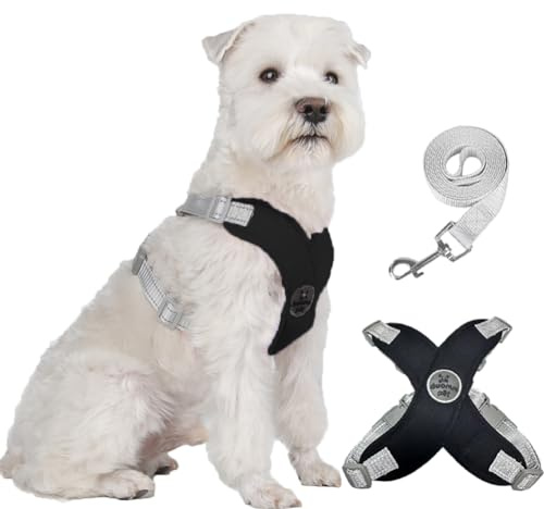 FEimaX Pettorina per Cani di Piccola e Media Taglia con Guinzaglio, Imbracatura Cane Riflettente Regolabile con Morbida Imbottito Imbracature Cuccioli Antifuga per Passeggiate Corsa