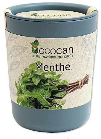 Feel Green Ecocan, Menthe, Idée Cadeau (100% Biodégradable), Grow-Your-Own/Kit Prêt-à-Pousser, Le Pot Écologique Qui Croît 9 x 7 cm, Produit en Autriche