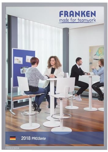 FRANKEN Dokumentenhalter Frame It X-tra!Line, DIN A4, magnetisch, grau, ITSA4M 12