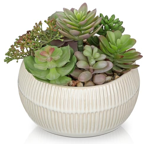 Oairse Artificial Succulent Arrangement Assorted Realistic Faux Succulent Plants in Ceramic Pot, 14cm Lifelike Fake Plants Indoor for Home Office Bathroom Kitchen Table Shelf Decor