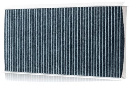 STARK SKIF-0170515 Innenraumfilter Kabinenluftfilter - Pollenfilter Partikelfilter Aktivkohle Höhe: 32 Breite: 185 Länge: 395 Kompatibel mit MERCEDES-BENZ A-Klasse W169 B-Klasse W245