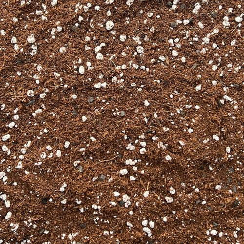 Premium Terrarium Potting Mix with Perlite & Activated Biochar – Nutrient-Rich Soil for Succulents, Moss, Air Plants & Tropicals – Superior Drainage, Root Health (2L)