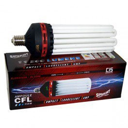 Ampoule CFL 8U 250w - 2100°K - Floraison - E40 - Superplant