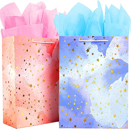 Small Gift Bags Set with FREE Tissue Paper - 2 Handle Bags for Birthday, Present Wrapping - Pink, Blue for Women, Men, Kids - Boy, Girl