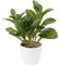 Briful Künstliche Zimmerpflanze Kamelie Kunstpflanze Camellia Japonica im Kunststofftopf Dekorative Seidenblumen Kamelie Kunstblumen für Home Hotel Dekoration