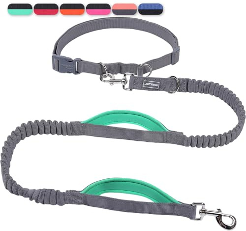 VIVAGLORY Hands Free Dog Lead Bungeetwin Waist Dog Lead with Belt for Running Walking & Jogging, Bungee & Around Waist for Pet, S, Grey/Turquoise