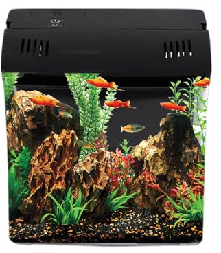 Acquario Con Filtro | Vasche Per Pesci Betta | Per Animali Domestici Per Rane Gamberi Tartarughe Barriera | Per Ufficio Tavolo Scrivania Casa