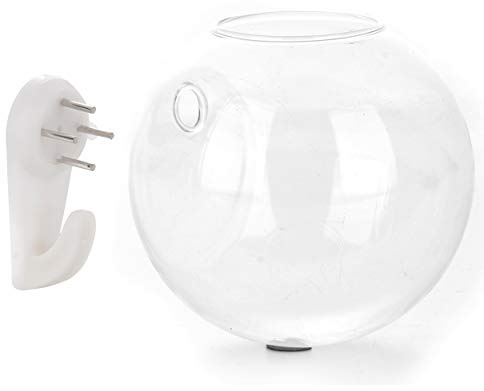 Qcwwy Contenitore per Pesci in Acrilico Trasparente, Moderno Vaso Rotondo da Appendere per Pesci, per la Decorazione di Casa e Ufficio, Ideale per Piccoli Acquari e Vasi per Piante
