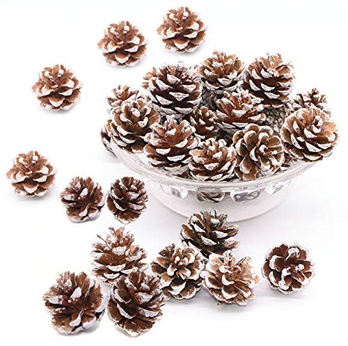 TheStriven 48 Pezzi Pino Cono Mestieri Natale Appeso Ornamento Naturale Pigna Secca Decor Pigne Fatte Seccare Natale Appeso Ornamento per Decorare Tavoli da Pranzo e Alberi di Natale Durante