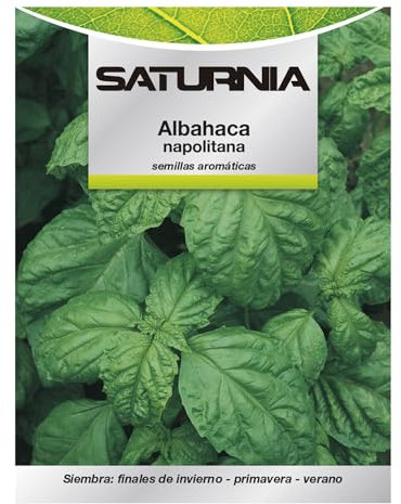 Semillas Aromáticas Albahaca Gigante (5 gramos) Horticultura, Horticola, Semillas Huerto.