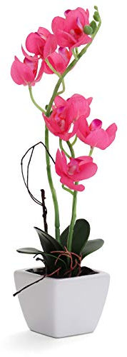 Bornbridge Künstliche Orchidee – Gefälschte Orchidee mit sich echt anfühlenden Blumen – künstliche Orchidee mit langem Stiel – Topforchidee / Kunststoff-Orchidee – (mittelgroß, Hot Pink Orchidee)